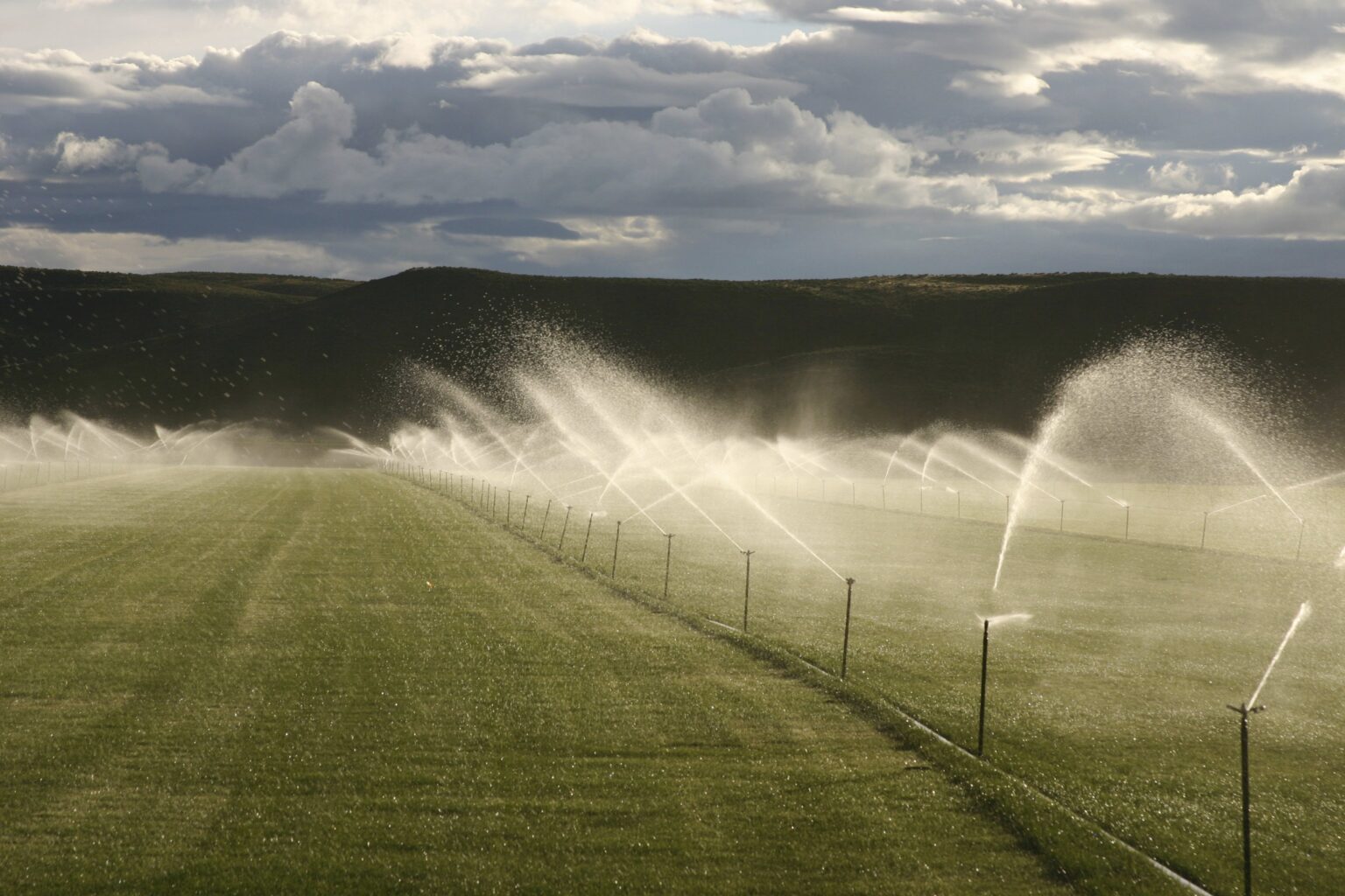 sprinklers